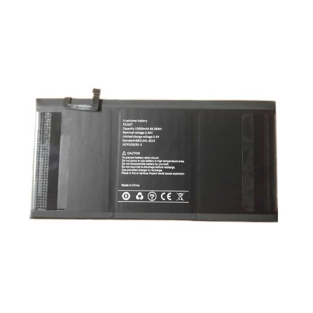 P2202T